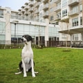 The Ultimate Guide to Pet-Friendly Condominiums in Houston, TX