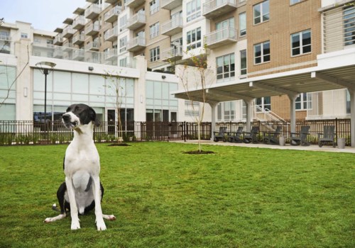 The Ultimate Guide to Pet-Friendly Condominiums in Houston, TX